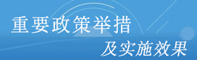 重要政策舉措及實施效果